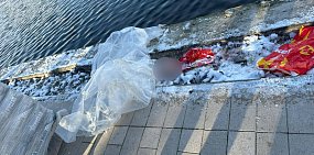 Голова ребенка была найдена в пруду в Москве: последние новости 