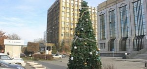 В Оренбурге установили первую новогоднюю елку