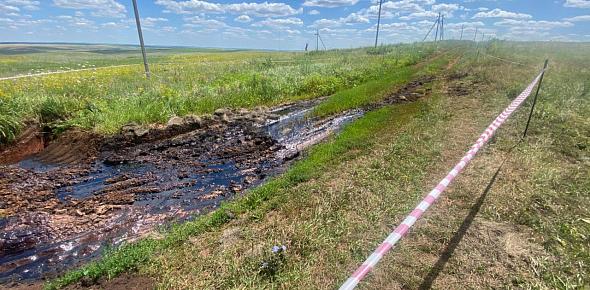 Разлив нефти. Фото россельхознадзора по Оренбургской области 