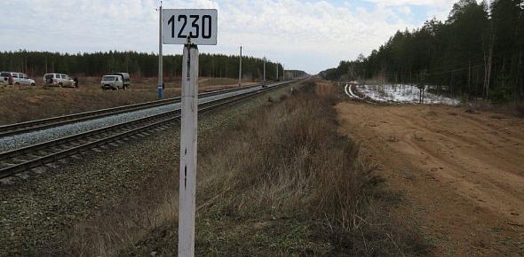 Проезжающие через Бузулукский бор поезда теперь обязательно будут подавать звуковой сигнал