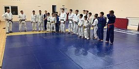 Василий Козупица предложил купить во Дворец пионеров новый татами