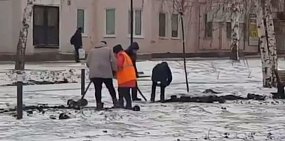 В Медногорске в -7°C неизвестные работники начали «облагораживать» клумбы геранью