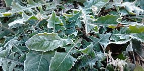 Выходные в Оренбургской области будут пасмурные и ветреные, пройдут циклонические вихри