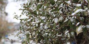 Какая погода ждет оренбуржцев на этой неделе?