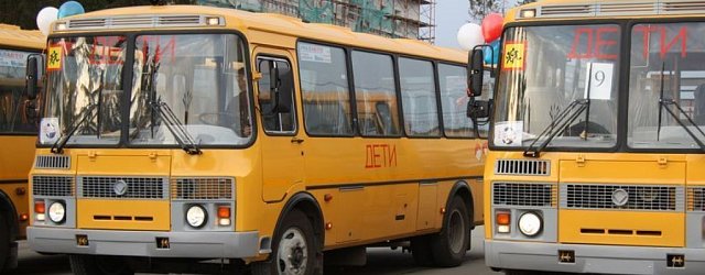 Автобусы