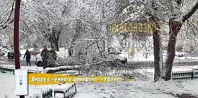 Очевидцы помогают подняться пострадавшей. Скриншот: камеры домофона «Уфанет»