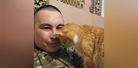Кот с передовой: Рыжий ветеран СВО обживается в Оренбургской области