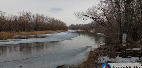 Урал в Оренбургской области. Фото из архива