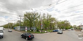 Администрация Оренбурга разрешила вырубить деревья ради нового торгового комплекса
