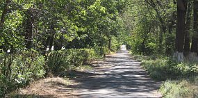 До 1 февраля в Орске идет голосование за территорию для благоустройства на 2022 год