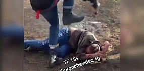 В Оренбурге возбудили 3 уголовных дела по факту жестокого избиения мужчин подростками в парке им. Гуськова