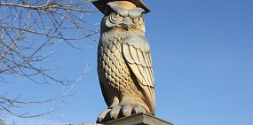 В ТОП-100 лучших вузов мира попал только один университет из России – МГУ