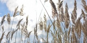 В районе реки Урал в Орске