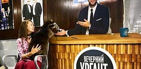 Орский енот Торнадо принял участие в программе на «Первом канале»