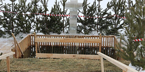 Крещенские купания в Оренбургской области: кому нельзя в прорубь и как окунаться без вреда для здоровья