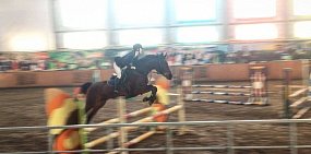 Орчане оказались в числе лучших в конном спорте 