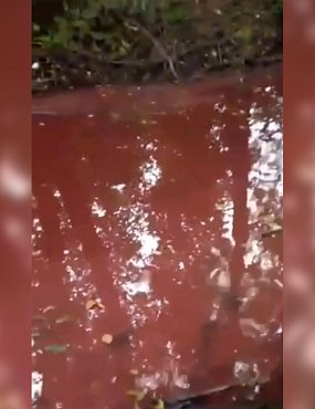  В Ташлинском районе Оренбургской области вода в реке стала красно-малинового цвета