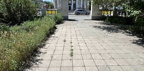 Территория, которую обслуживает муниципалитет