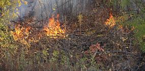 В Оренбургской области с завтрашнего дня вводят особый противопожарный режим