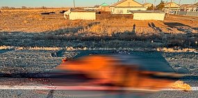 На трассе в Домбаровском районе Lada Largus насмерть сбил лошадь. Водитель в больнице
