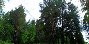 В этом году охотники смогут убить 1921 животное в Оренбургской области
