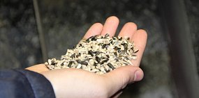 Источник фото: Правительство Оренбургской области