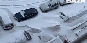 Сугробы в Москве из-за метели. Источник: ТГ-канал Baza