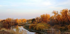 В Оренбургскую область вернется тепло