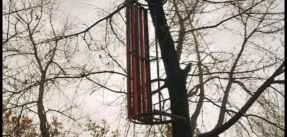 В парке Саракташа на деревьях повисли... лавочки. Авторами инсталляции оказались подростки