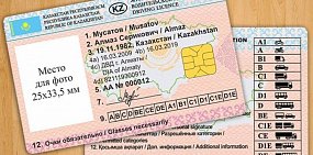 Сколько стоят водительские права в Казахстане