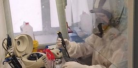 Так проводятся исследования тестов на коронавирус. Фото: Instagram Дениса Паслера