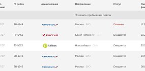 В аэропорту Оренбурга до сих пор задерживаются 4 рейса