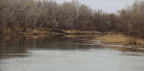 Уровень воды в реке Сакмара продолжает подниматься