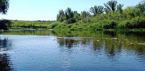 Река Урал в Оренбургской области. Фото из архива