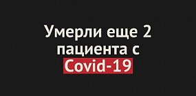 Новые случаи смерти за сутки 