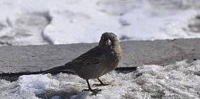 Какая погода ждет оренбуржцев в эти выходные?