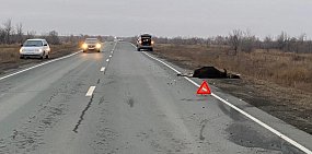 На месте ДТП. Источник: УМВД России по Оренбургской области