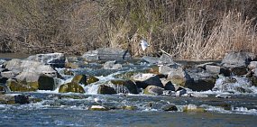 Какая погода ждет жителей Оренбурга и Орска на этой неделе?