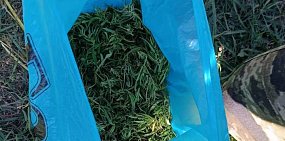 В Оренбургской области задержали мужчину с марихуаной, собранной «для себя»