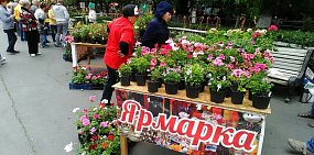 6 сентября в Орске пройдет городская сельскохозяйственная ярмарка