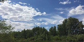 В эти выходные в Оренбургской области ожидается до +40°