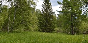 Маршрут выходного дня: Поход на гору Большой Кумардак