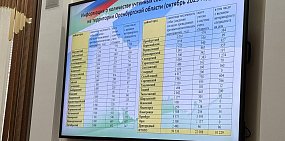 В Оренбургской области зарегистрировали всего 22 000 домашних собак из 100 000 предполагаемых