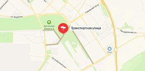 В Оренбурге на 6-летнего ребенка напала бездомная собака