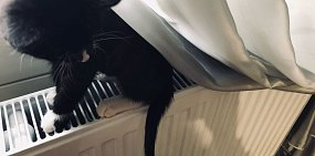 Не будет отопления и горячей воды на нескольких улицах