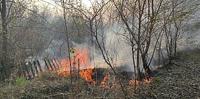 Пожар в дачном массиве Бузулука удалось потушить только к утру