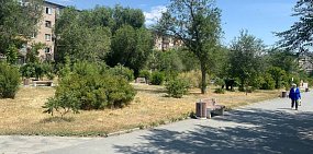 Первую треть лета в Новотроицке на клумбах не было цветов. Кто теперь будет заниматься их посадкой?