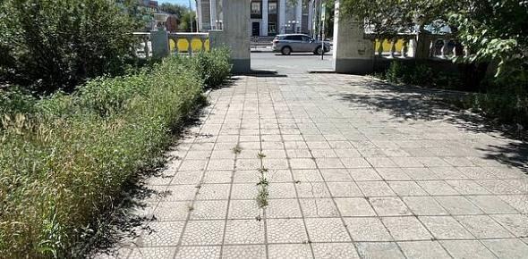 Территория, которую обслуживает муниципалитет