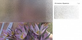 Оренбуржцы, не боясь закона, срывают первоцветы