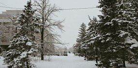 В Оренбурге и Орске ожидается снегопад 